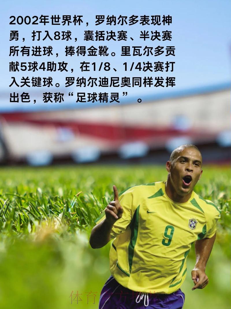 世界杯赛事比分及明星球员表现深度解读