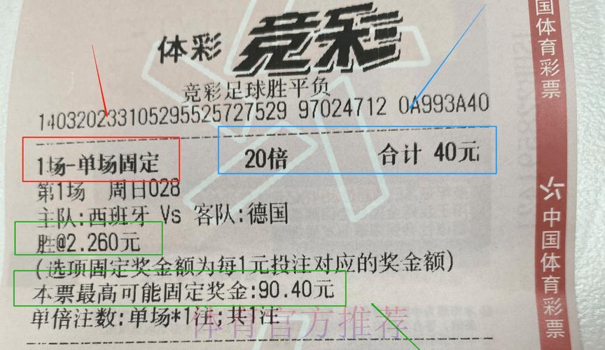 世界杯彩票投注技巧与策略完全指南 世界杯彩票投注技巧与策略完全指南